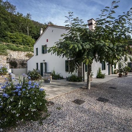 Agriturismo Le Volpi Baone Exteriör bild